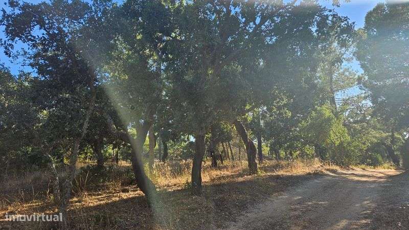 Terreno Rústico a 1 Km do Zoo e a 10 min de Lagos - Grande imagem: 2/10