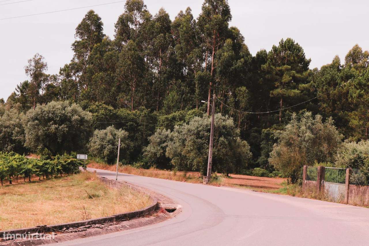 Moradia Isolada na Mealhada – Oportunidade Única, Pronto Pagamento-22