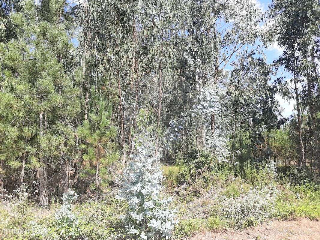 Terreno  para venda - Grande imagem: 3/6