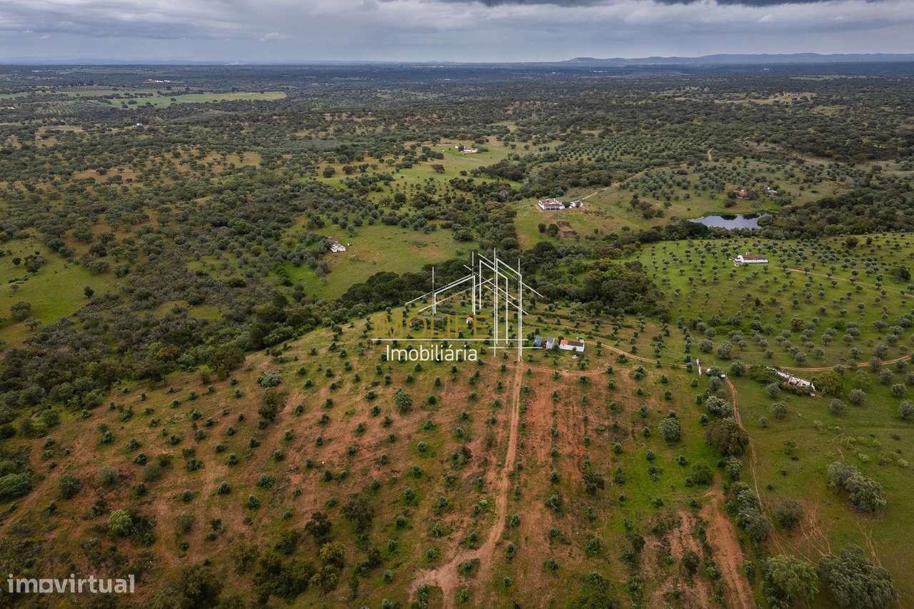 MONTINHO DO CHIADO - MALARRANHA - PAVIA-45