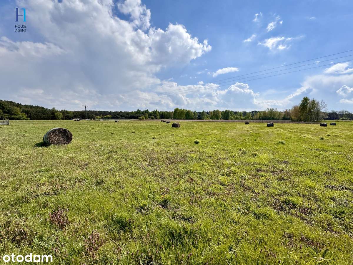 Twoje miejsce spokoju - Stary Adamów czeka! - Pełny obrazek: 3/10