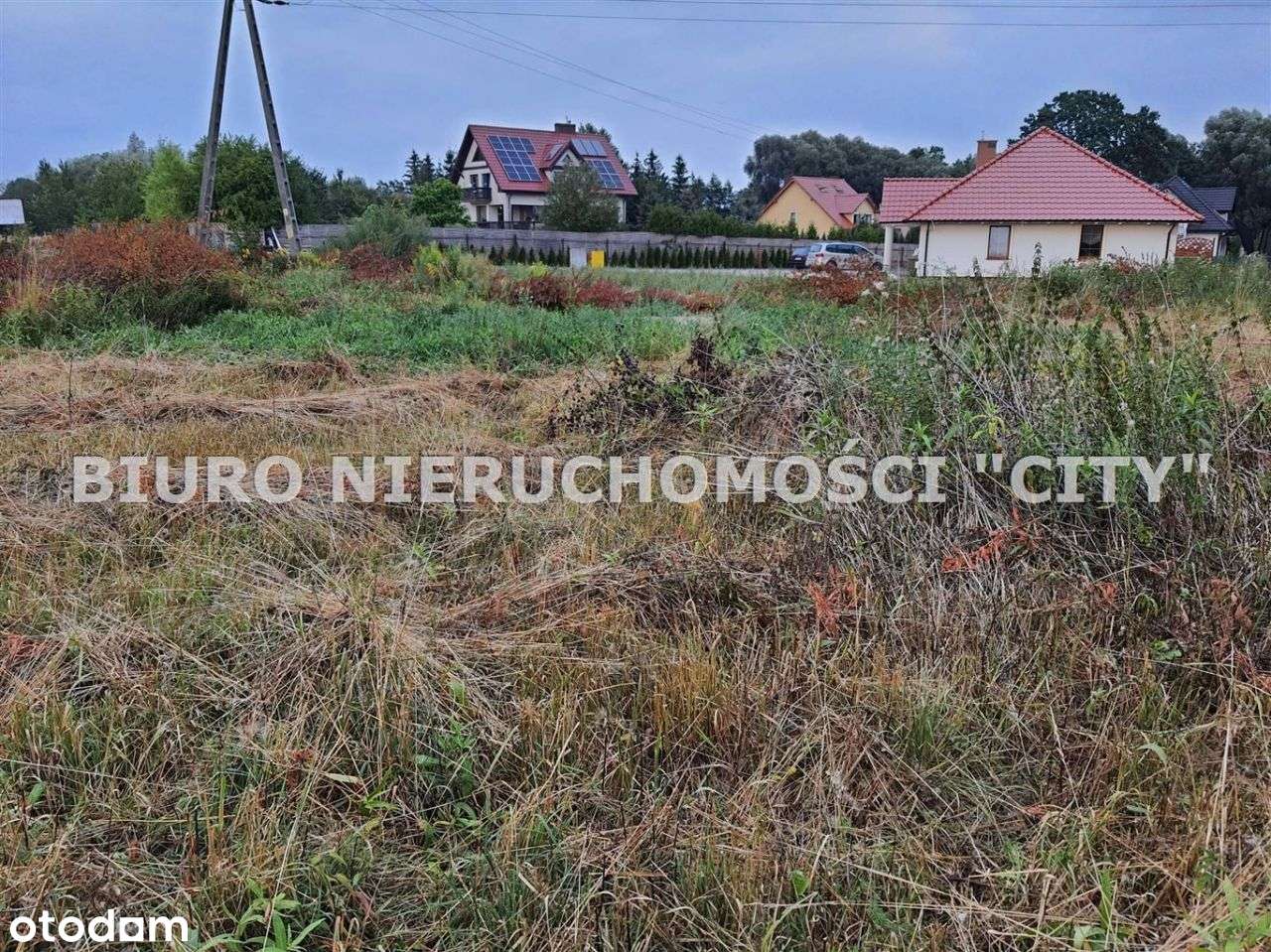 Działka, 3 004 m², Żary - Pełny obrazek: 5/13