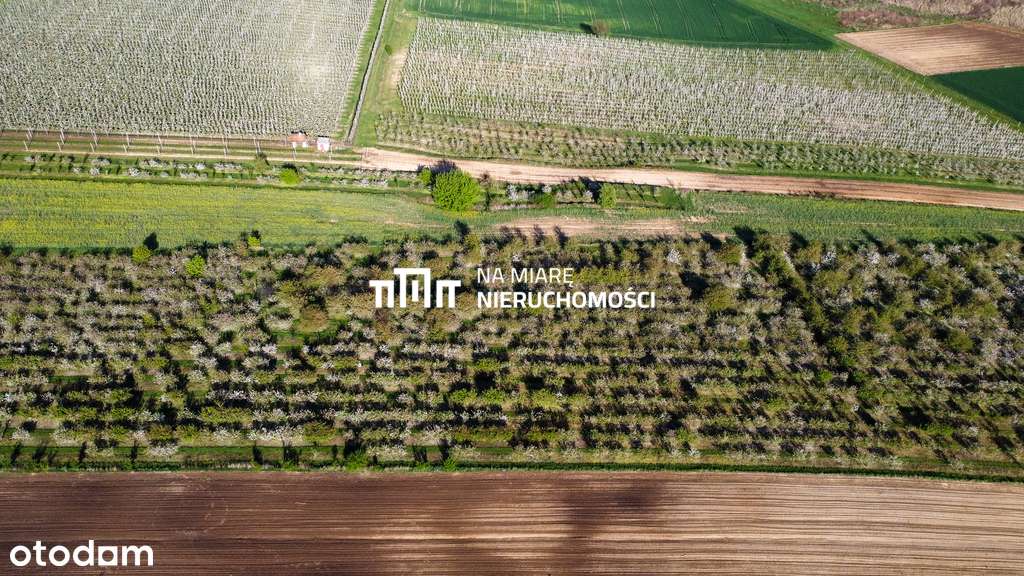 Duża działka  w Sandomierzu | 1 ha - Pełny obrazek: 5/9