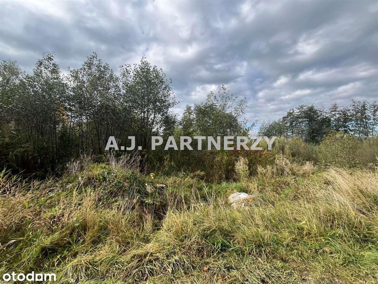 Działka budowlana w Rożnowej/Wieliczka - Pełny obrazek: 3/9