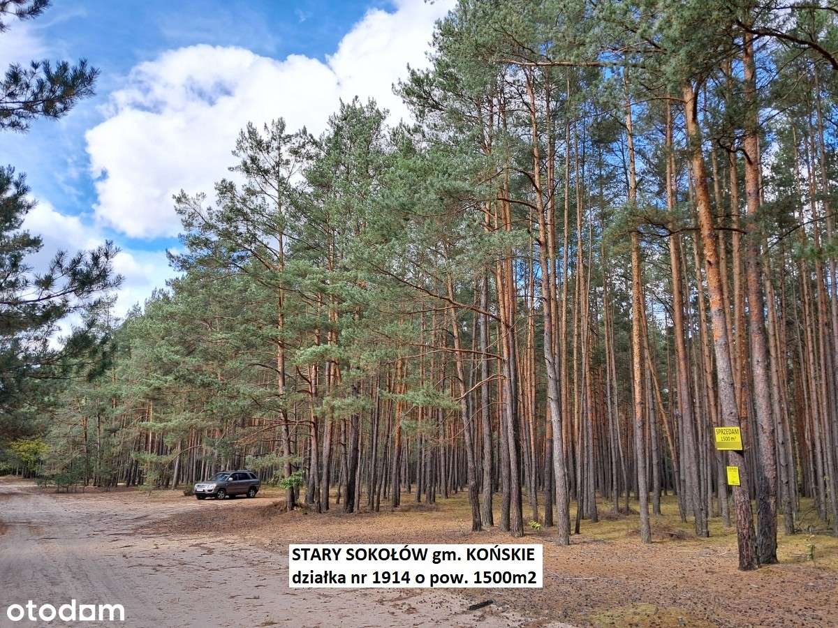 Sale -10% Najtańsza działka leśno-rolna 1500m2 tylko 9.900 zł-14