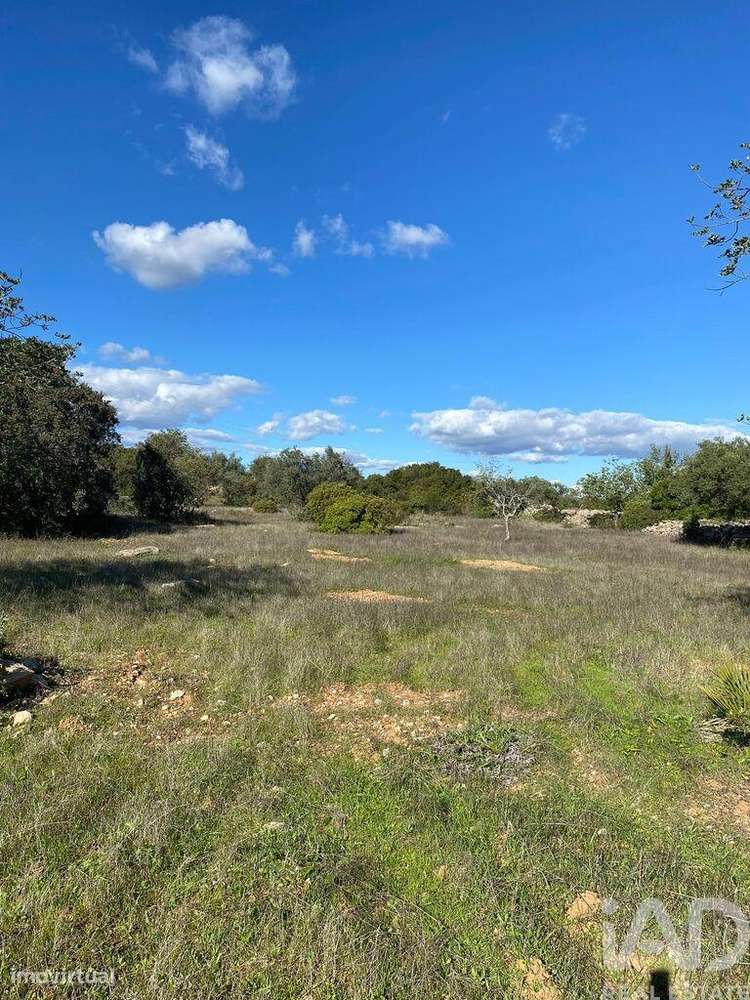 Terreno Agrícola em São Brás de Alportel de 7100,00 m2 - Grande imagem: 3/15