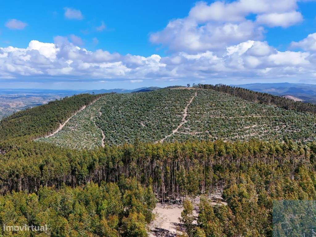 Terreno em São Teotónio, Odemira-6