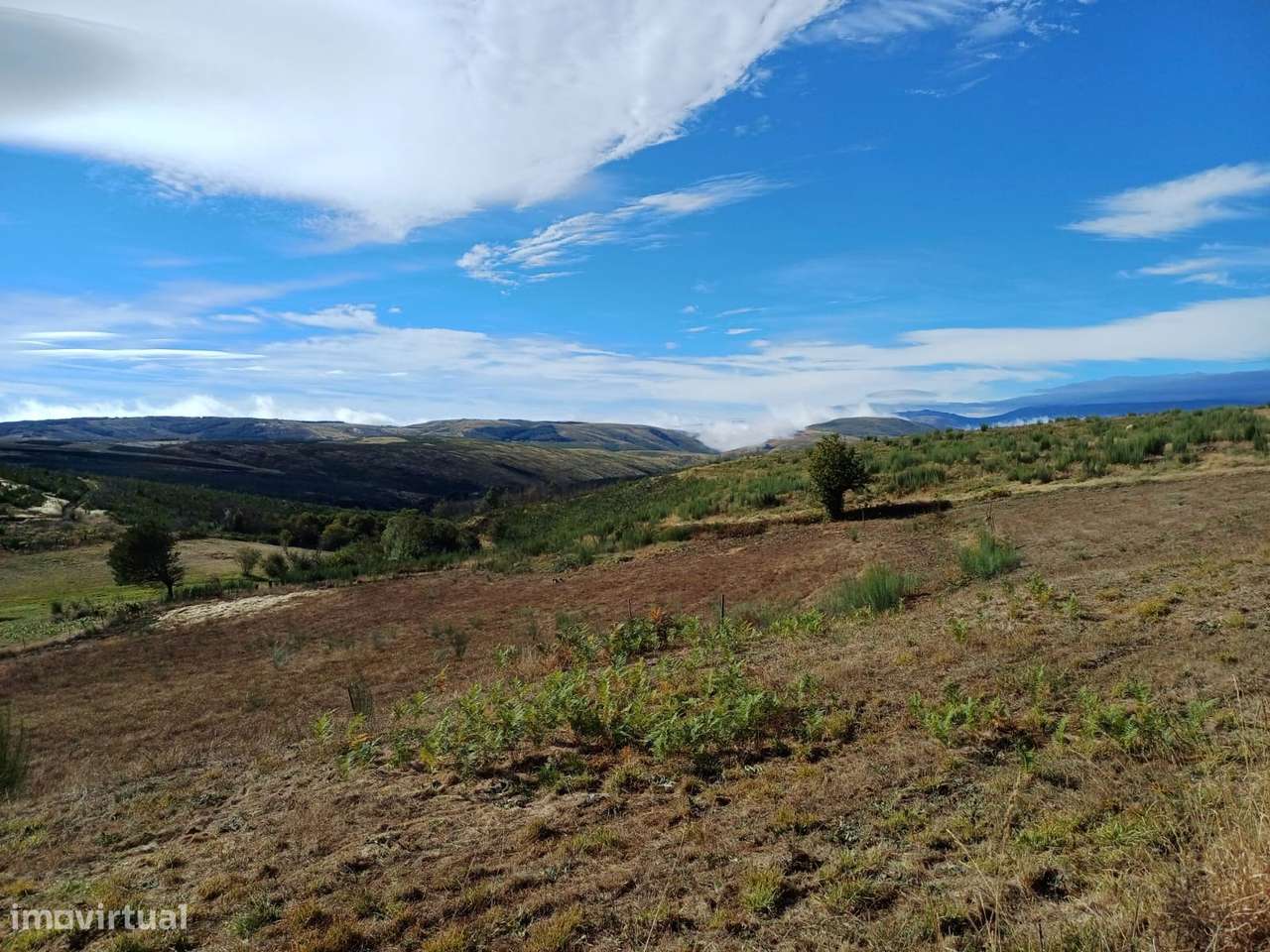 Duas habitações em 18 hectares-20
