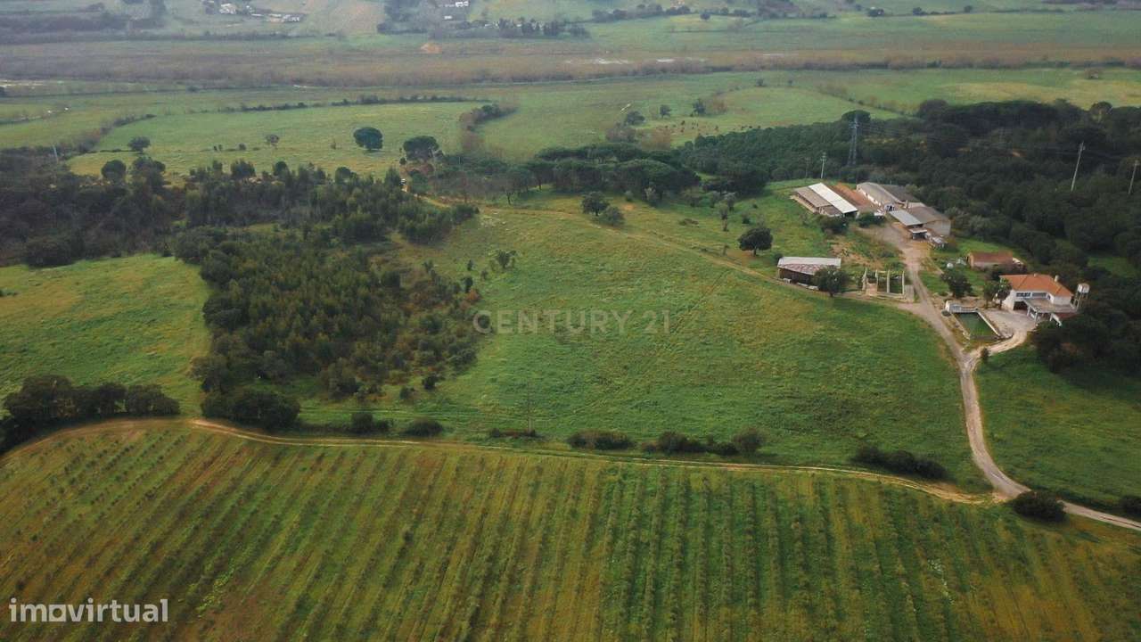 Magnífica Quinta em Santarém com 7 Quartos e 5 Casas de Banho - Grande imagem: 4/60