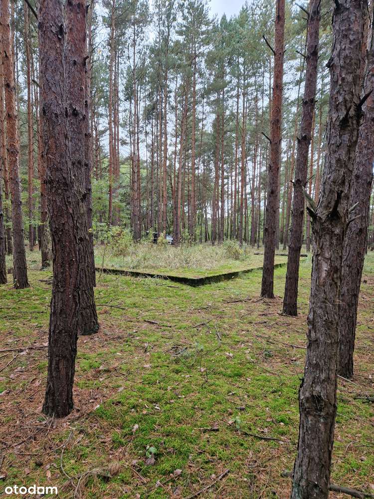 Miastko - działka  z projektem i fundamentami - bezpośrednio - Pełny obrazek: 2/9