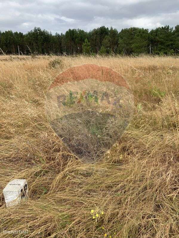 Terreno  para venda - Grande imagem: 5/8