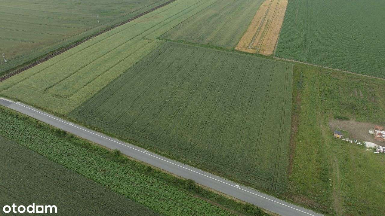 Działka pod zabudowę mieszkaniową | 1,9 Ha - Pełny obrazek: 4/8