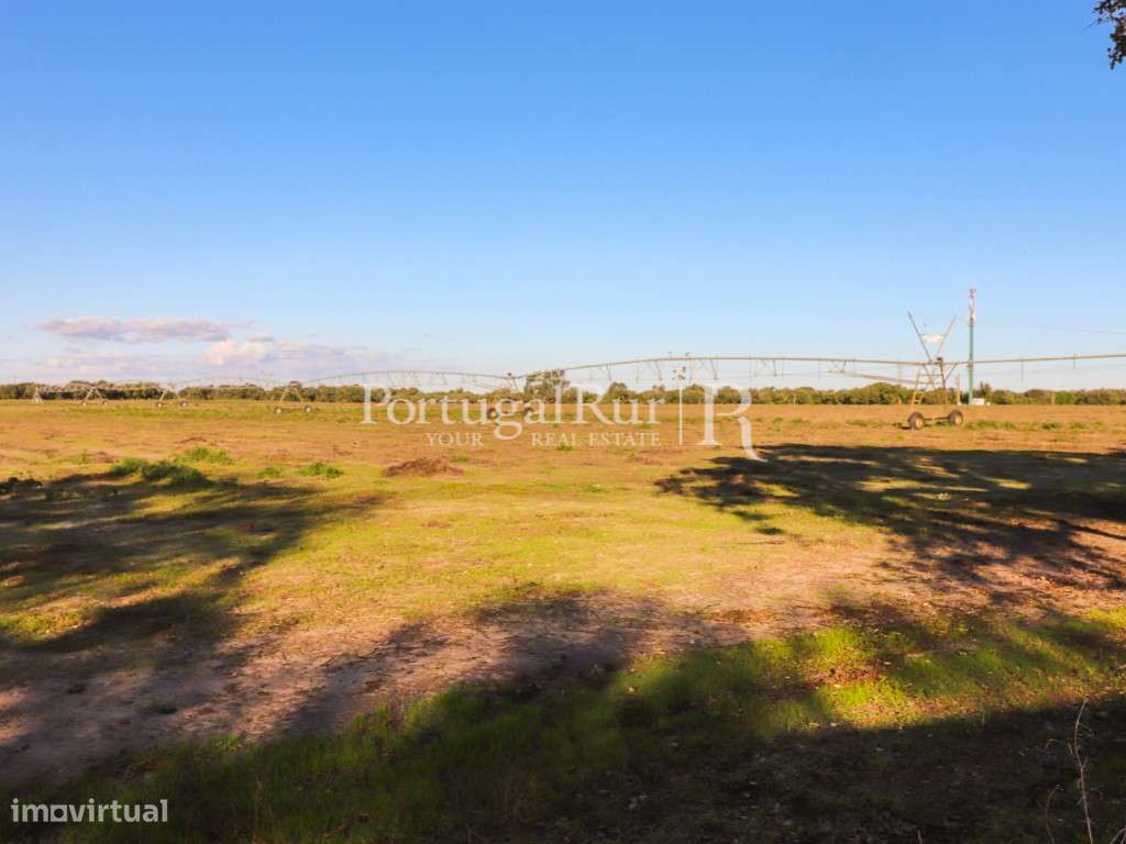 Herdade de 60 hectares para criação bovina e equina perto de Lisboa-48