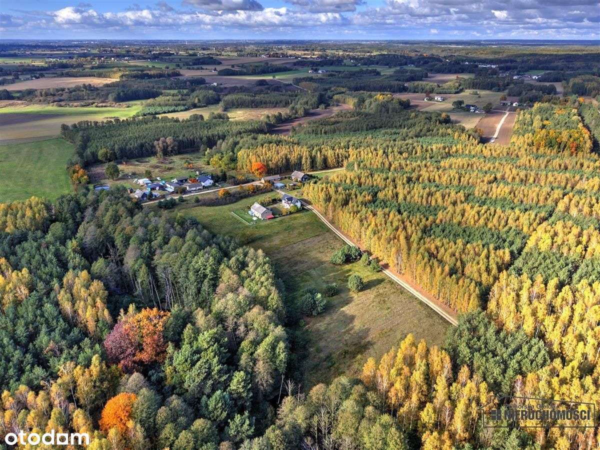 Działka pod lasem na raty - Piaseczno-3