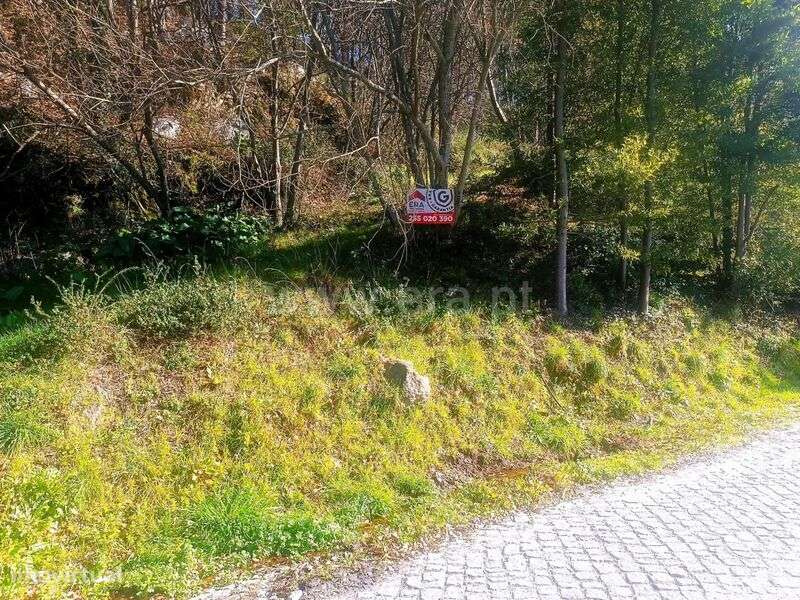 Terreno / Marco de Canaveses, Sande e São Lourenço - Grande imagem: 5/14