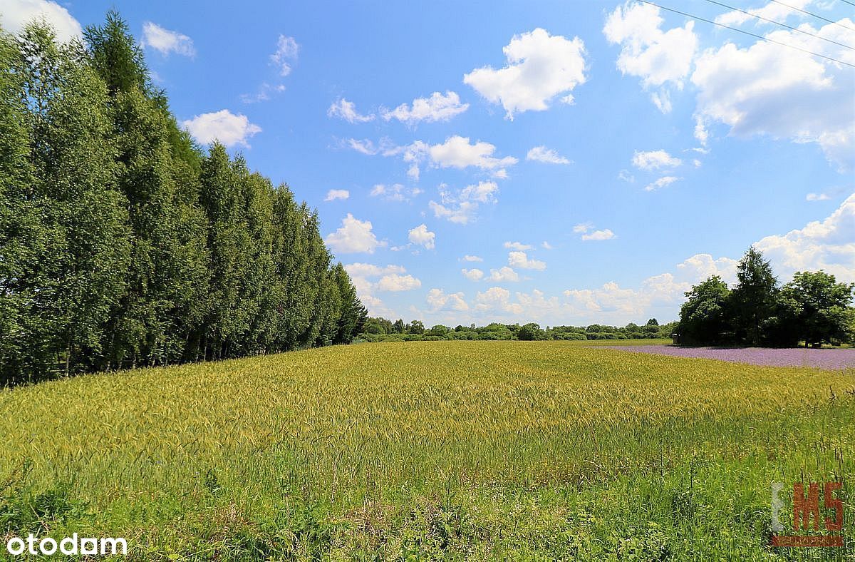 **Budowlana obok Czarnej Hańczy**Negocjacja