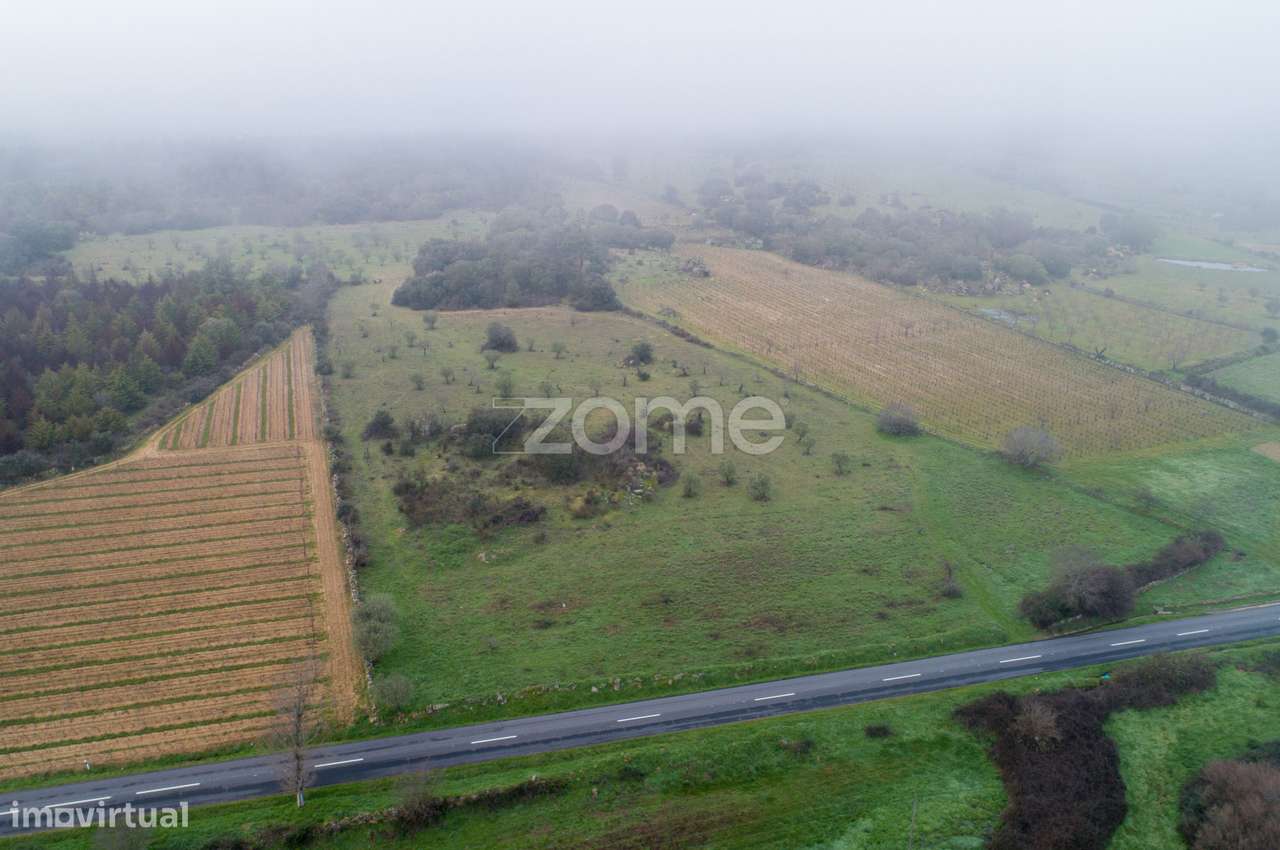 Terreno agrícola com 4 hectares, Vila Nova de Fôz Coa - Grande imagem: 5/15