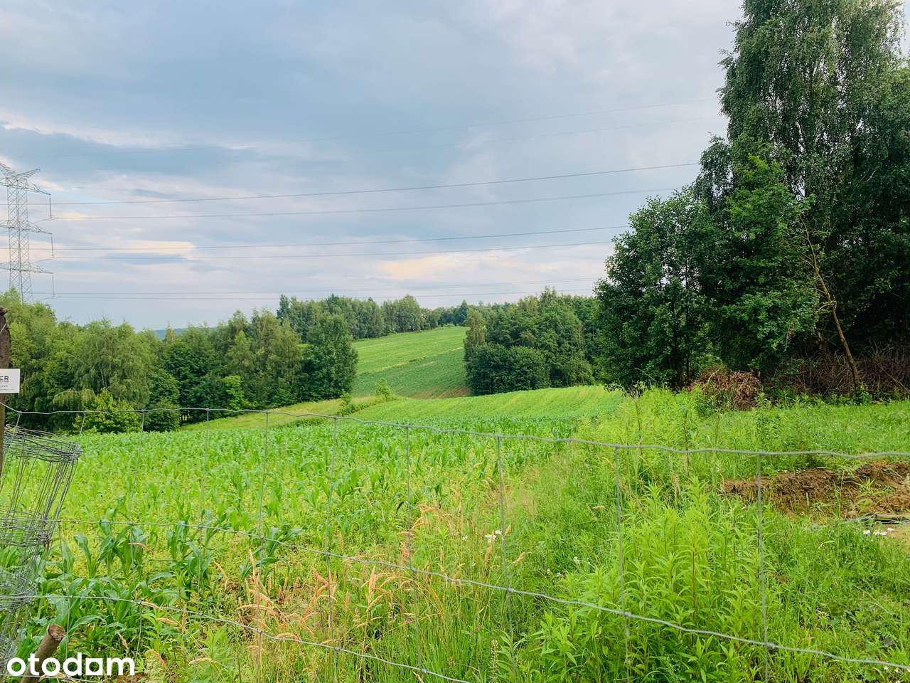Tłuczań , gm Brzeźnica, 1,14 ha, z pozwoleniem na budowę, kameralna-1