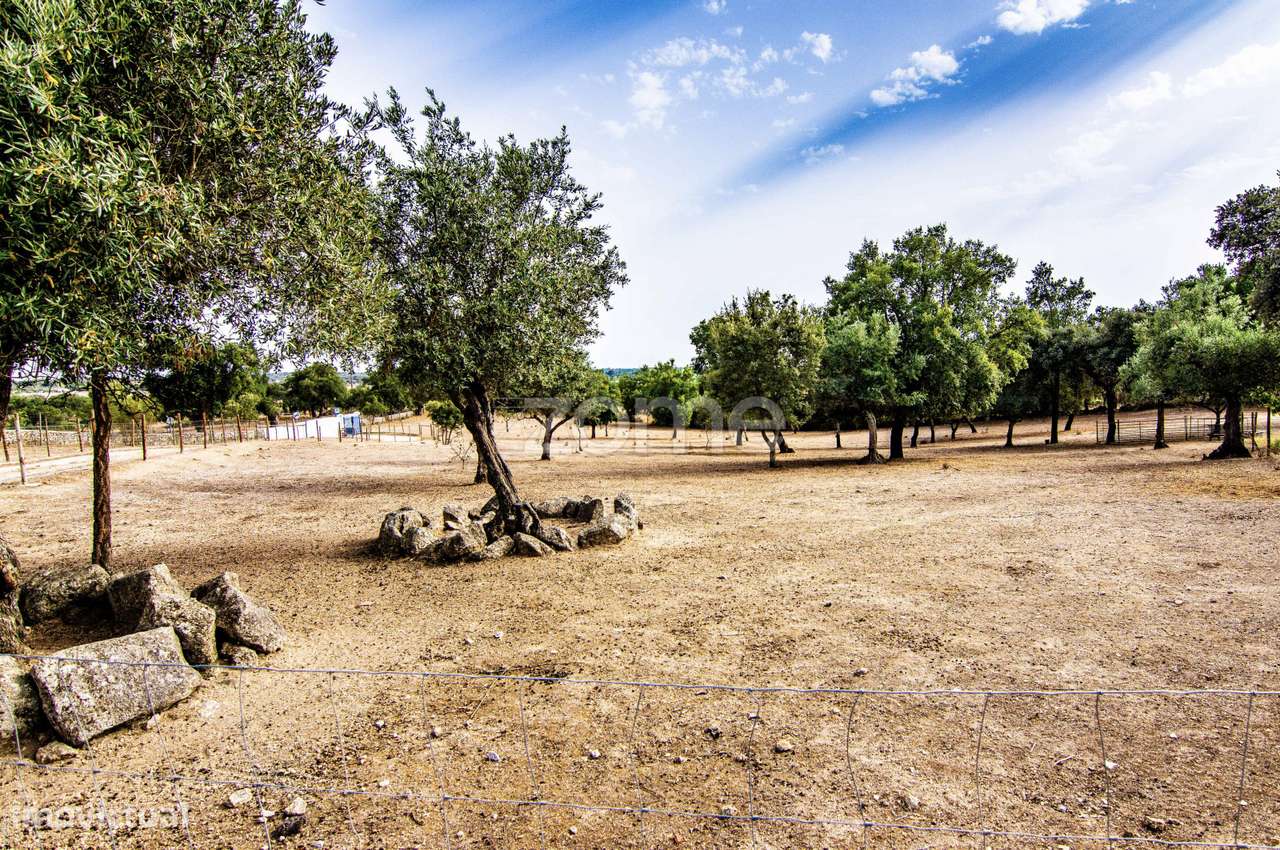ESPETACULAR MONTE ALENTEJANO DE LUXO, T4+1, JUNTO AO CRATO-PORTALEGRE-6