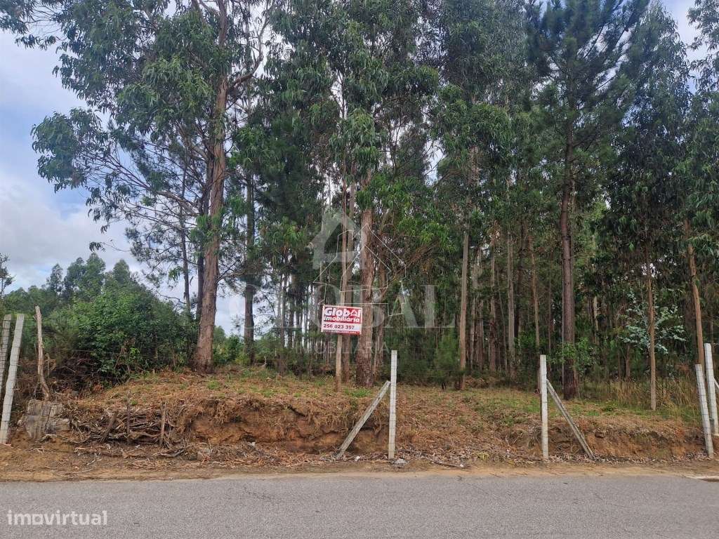 Terreno para Construção São João de Ver - Grande imagem: 2/2