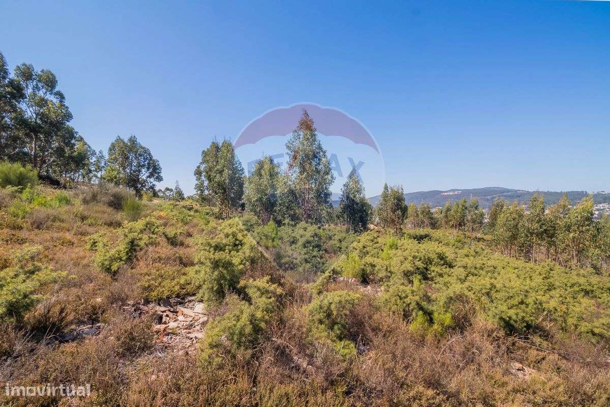 Terreno  para venda - Grande imagem: 4/13