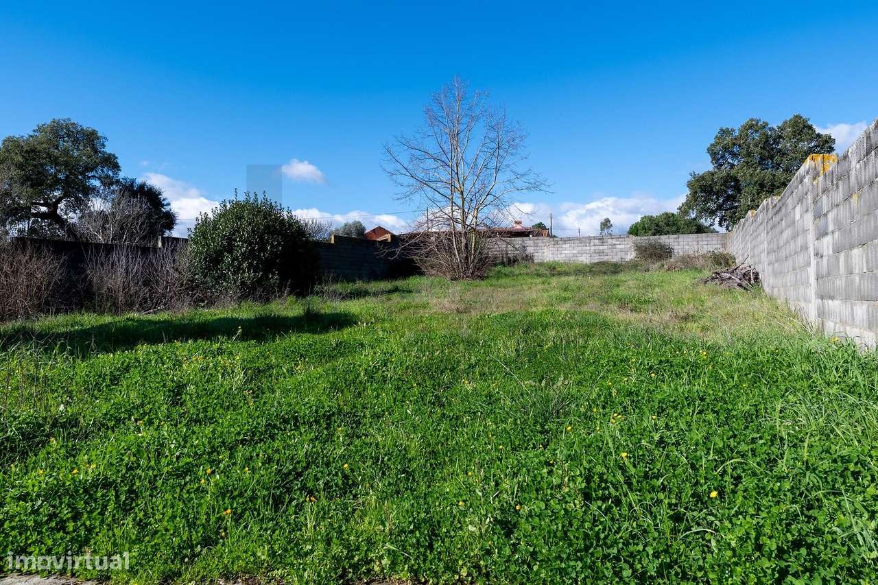 Moradia T10 com Terreno (ÁREA TOTAL 1143m2)  – Arneiro das Milhariças-38