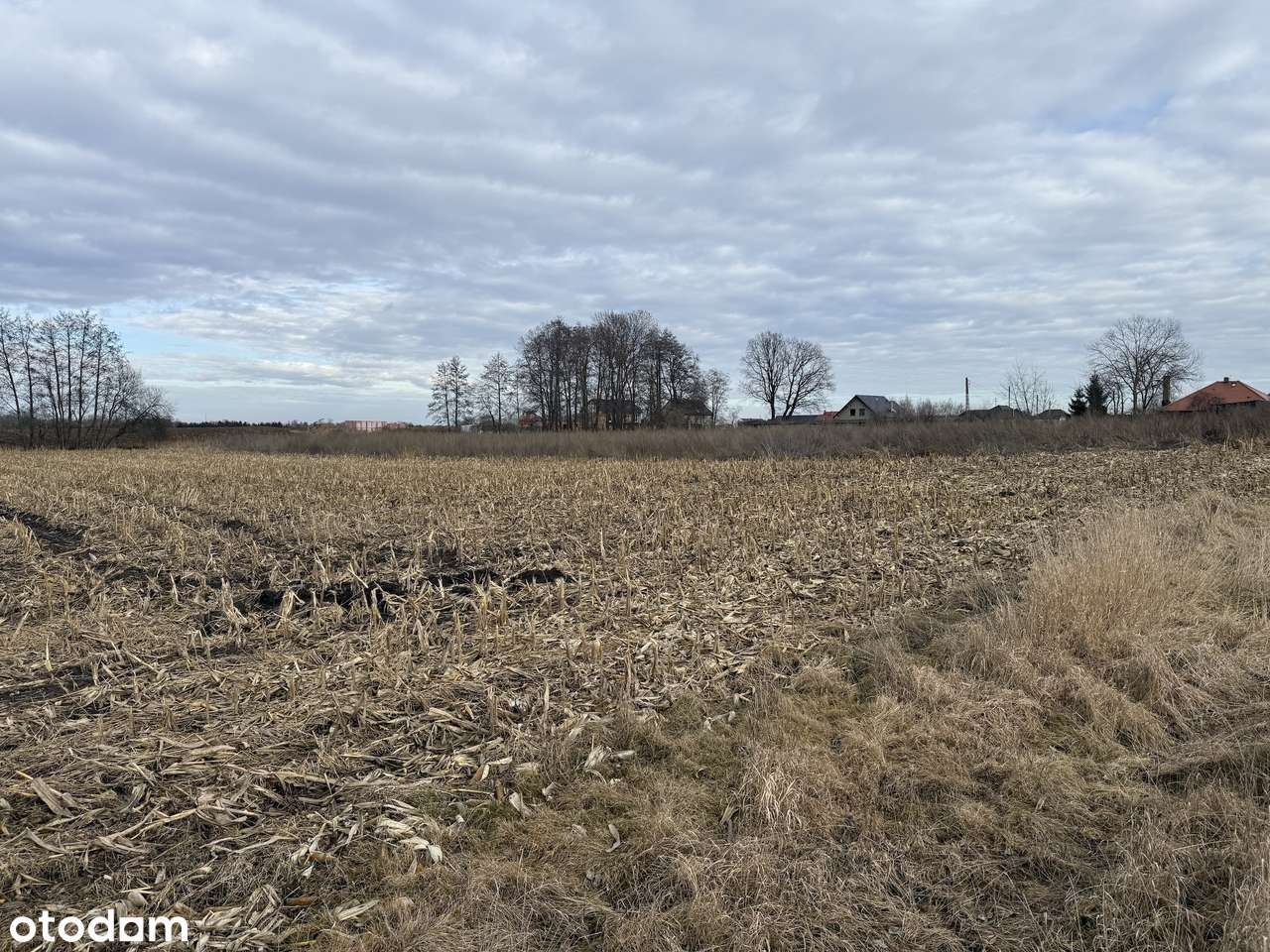 Na sprzedaż atrakcyjne działki budowlane – Nowa Wieś Kącka-9