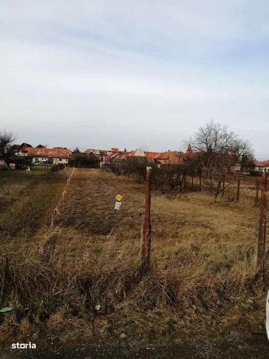 Teren 934 mp Ghimbav - Imagine principală: 3/6