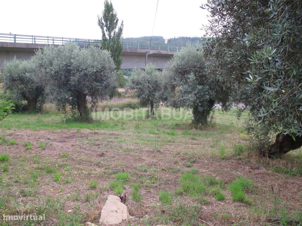 Moradia para recuperar-20