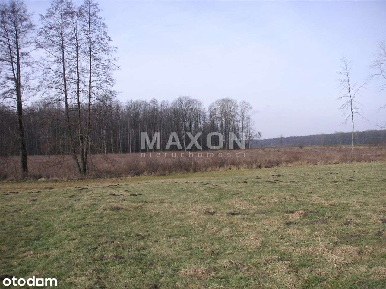 ❗❕ Załuski, Kamienica działka rolna 1,65 ha ❕❗ - Pełny obrazek: 4/11