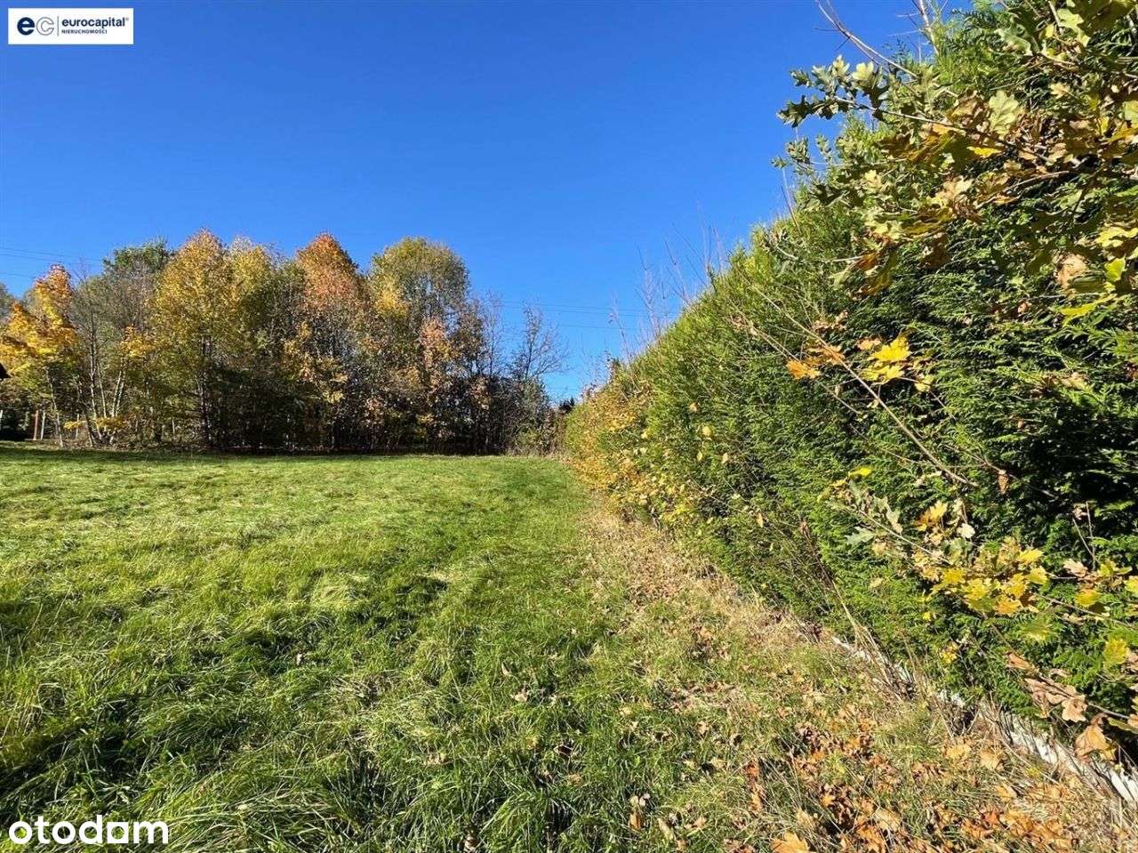 Duża działka w sasiedztwie zagajnika i strumyka!-5