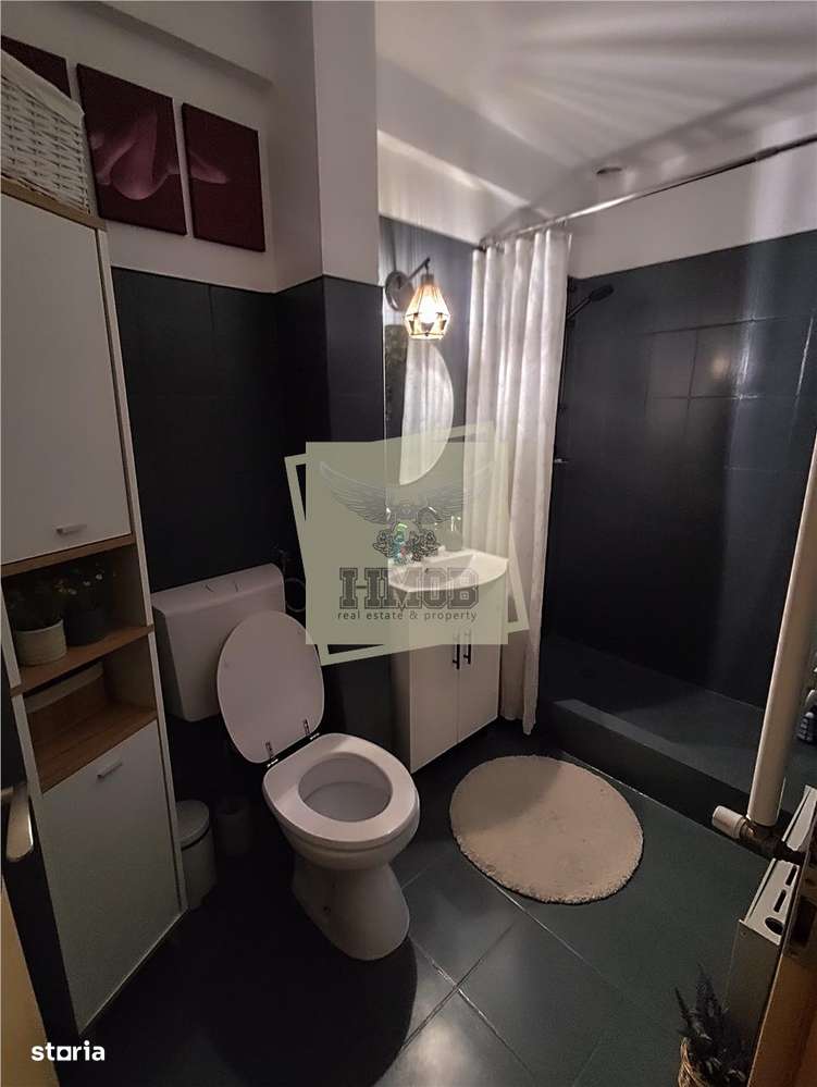 Apartament pe 2 nivele Vasile Aaron 52 mp-12