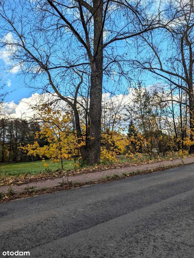 Działka w super lokalizacji - Stary Wielisław-6