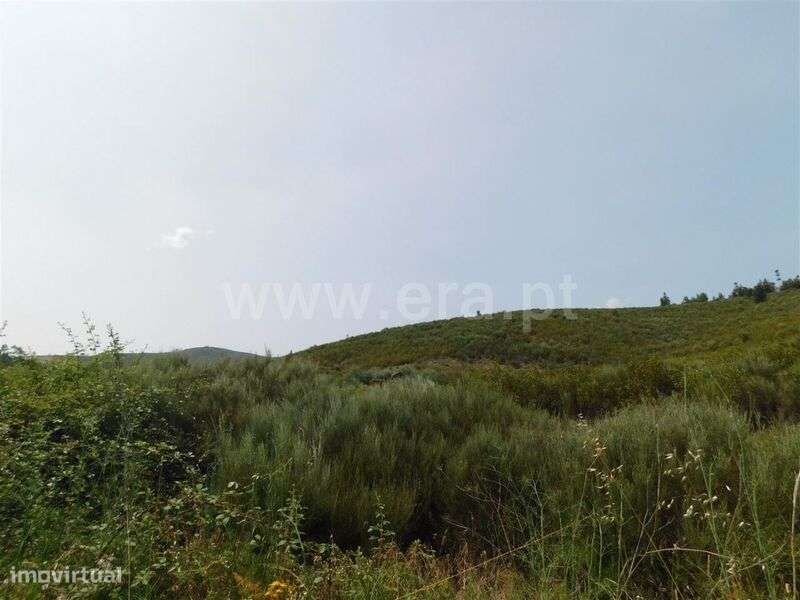 Terreno com ruina / Covilhã, Barco e Coutada - Grande imagem: 4/8