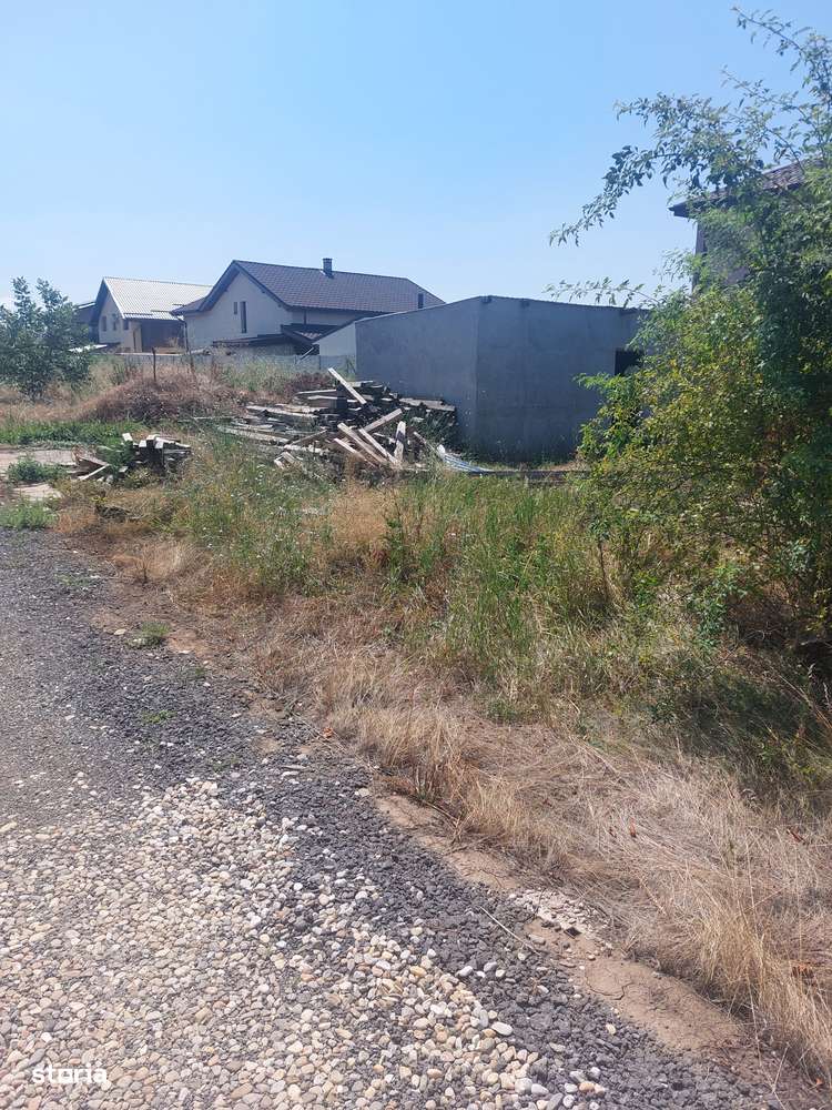 Bragadiru, Strada Ametistului - Imagine principală: 4/11