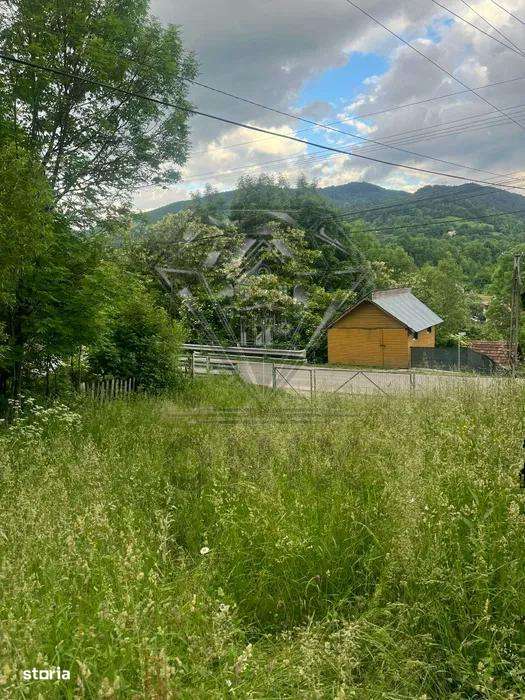 TEREN DE VANZARE VALEA DOFTANEI-3