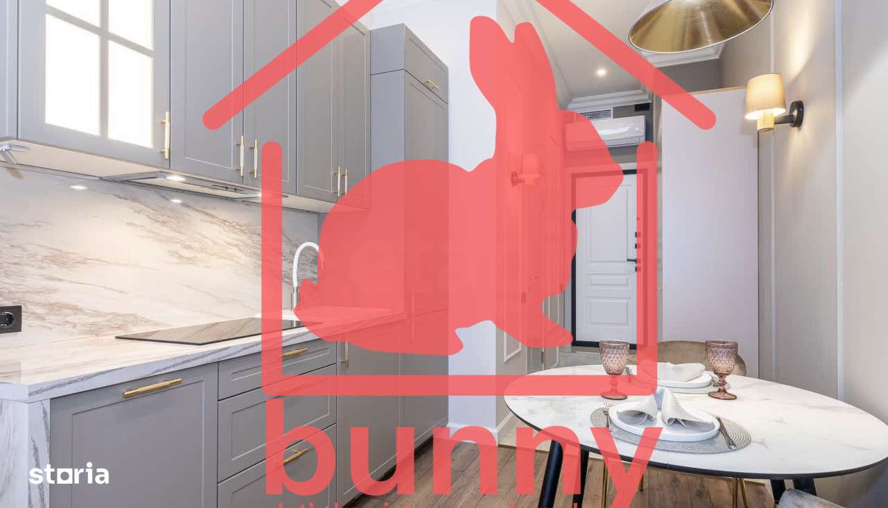 MT852 - LUX Studio for Rent Near Gara de Nord Metro - Imagine principală: 5/12