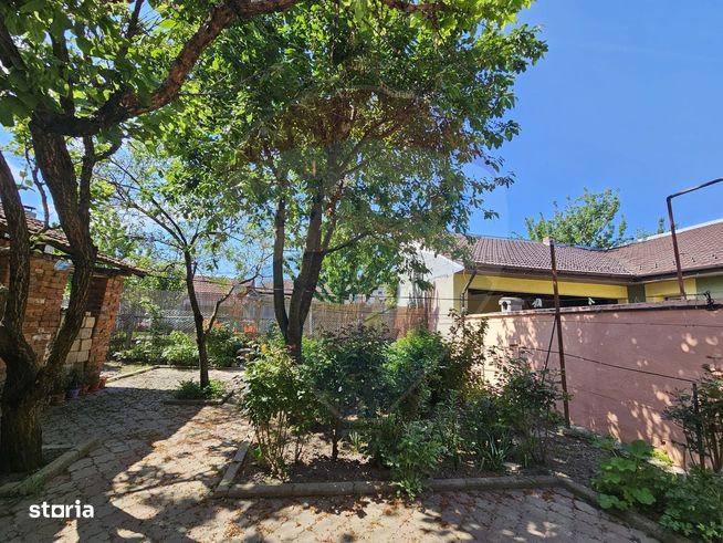 Casa de vanzare in Cotu Mic-9