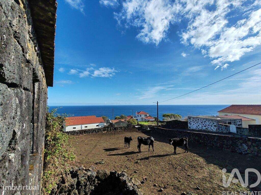 Casa de Campo em Ribeiras de 70,00 m2 - Grande imagem: 2/23