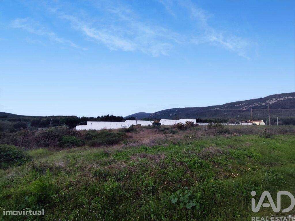 Terreno em Alcoentre - Grande imagem: 4/33