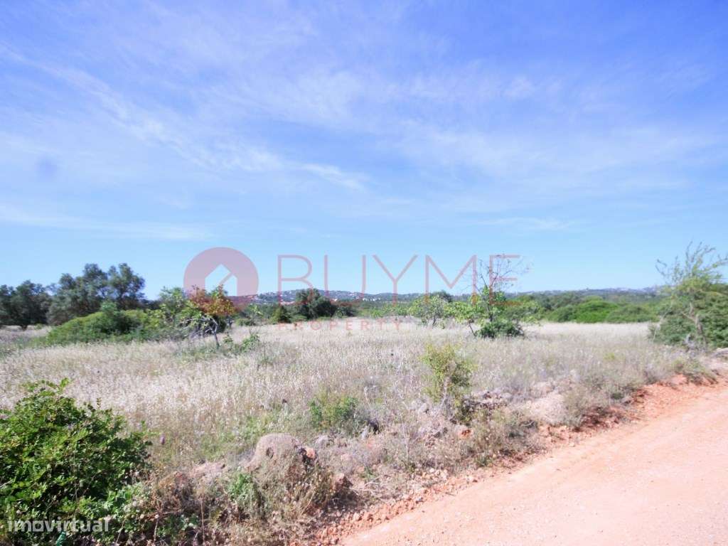Terreno Rústico com Potencial Agrícola em Loulé / Campina de Baixo - Grande imagem: 4/5