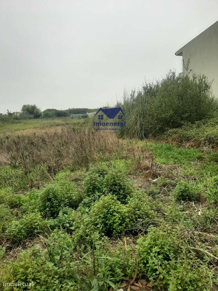 Terreno para construção - Terroso-6