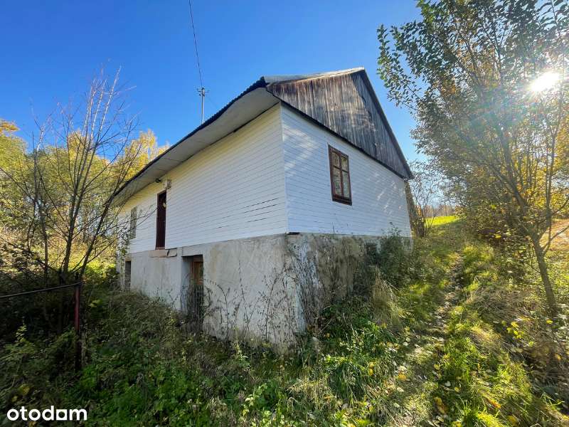 Dom  z potencjałem pod agroturystykę lub prywatny azyl działka 78arów-5
