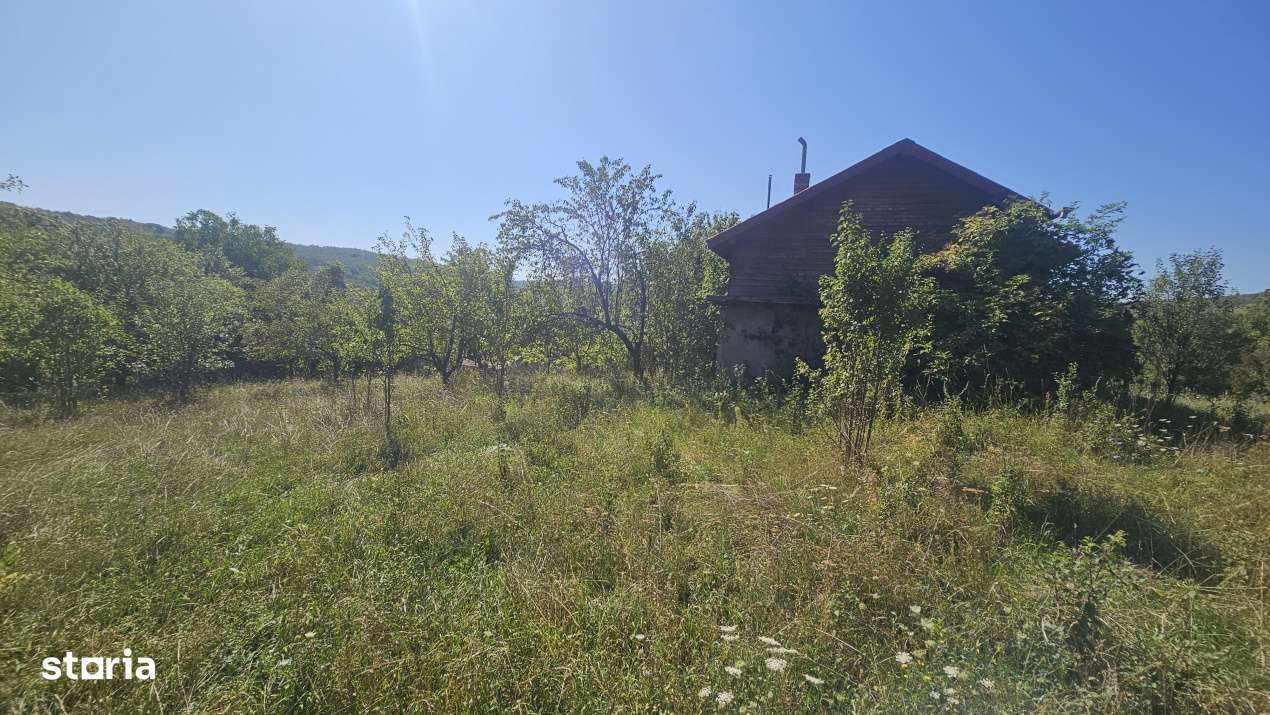 Proprietate cu potential turistic in sat Pietroasa, com. Moldovenesti, - Imagine principală: 4/5