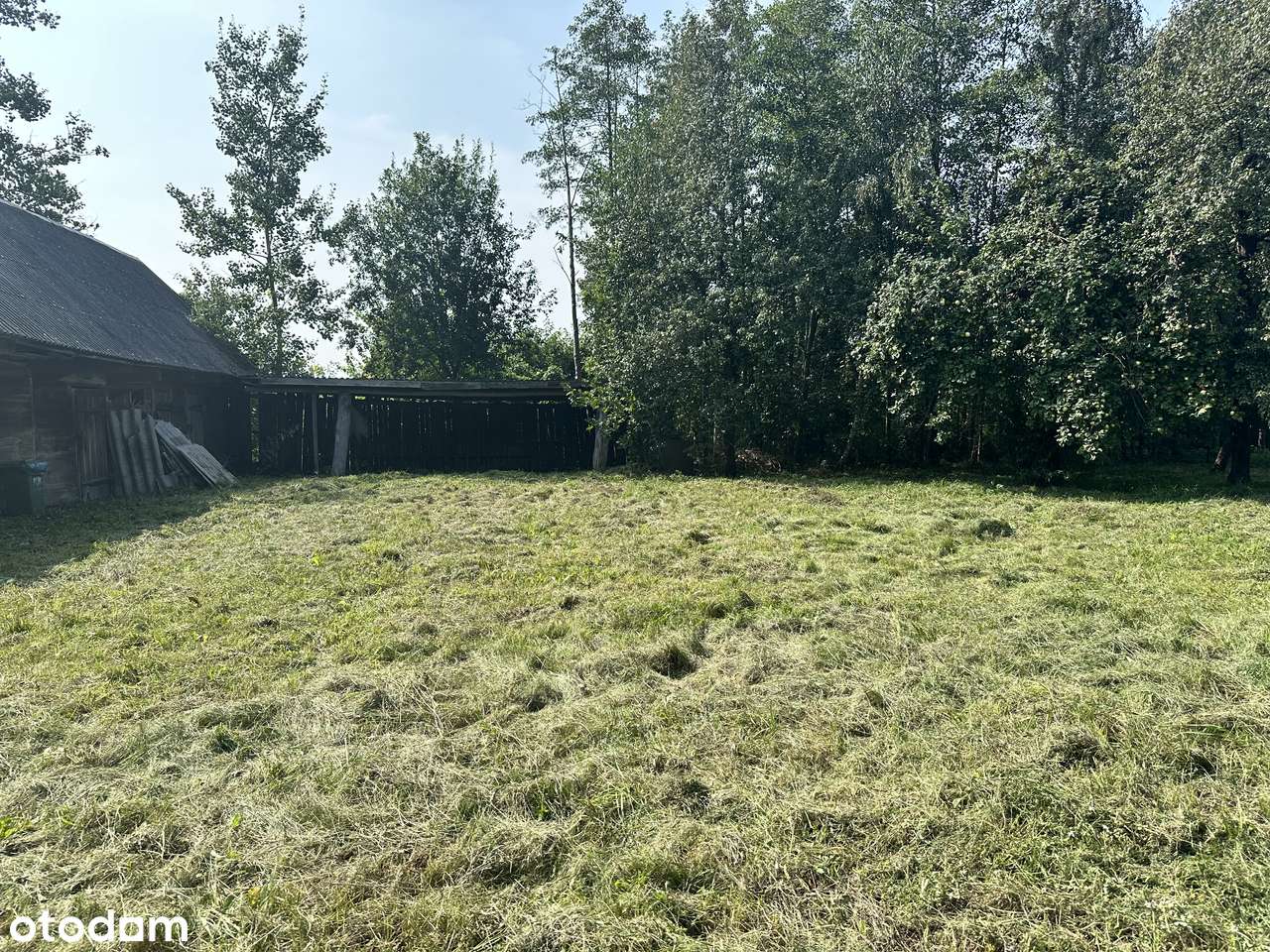 DZIAŁKA BLISKO PUSZCZY BIAŁOWIESKIEJ - Pełny obrazek: 5/5