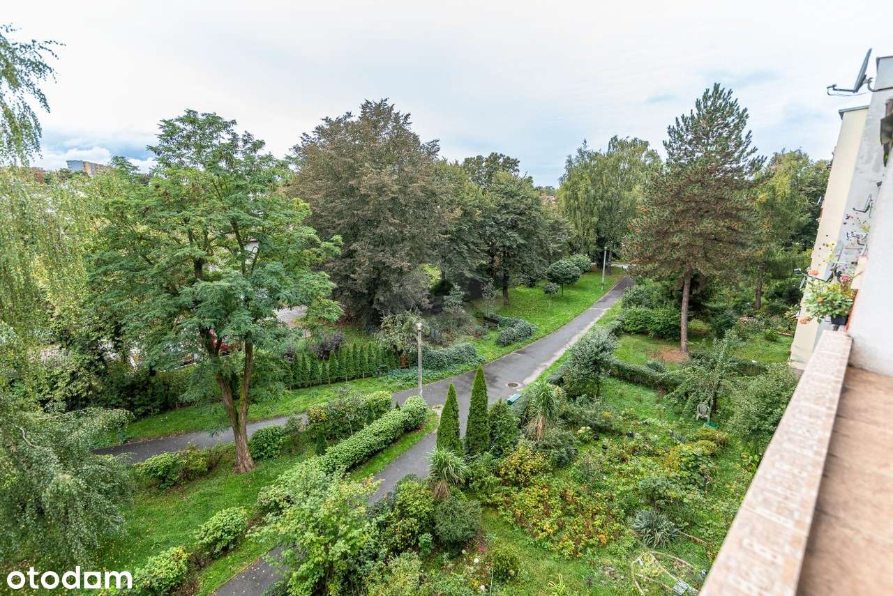 4 pokoje I Osobna kuchnia I Loggia I Do wejścia-16