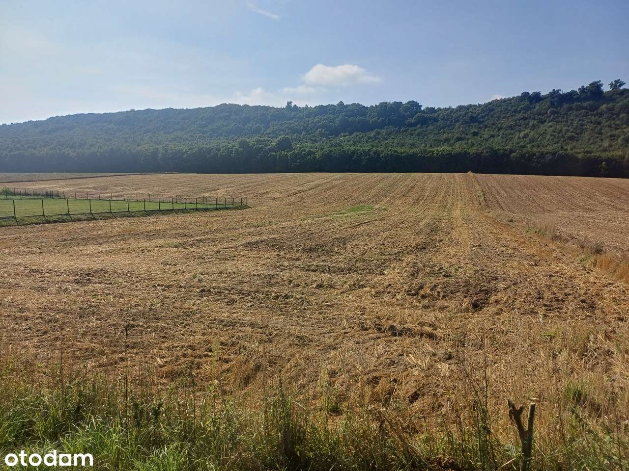 Klonów, gmina Racławice - piękne działki budowlane na sprzedaż-3