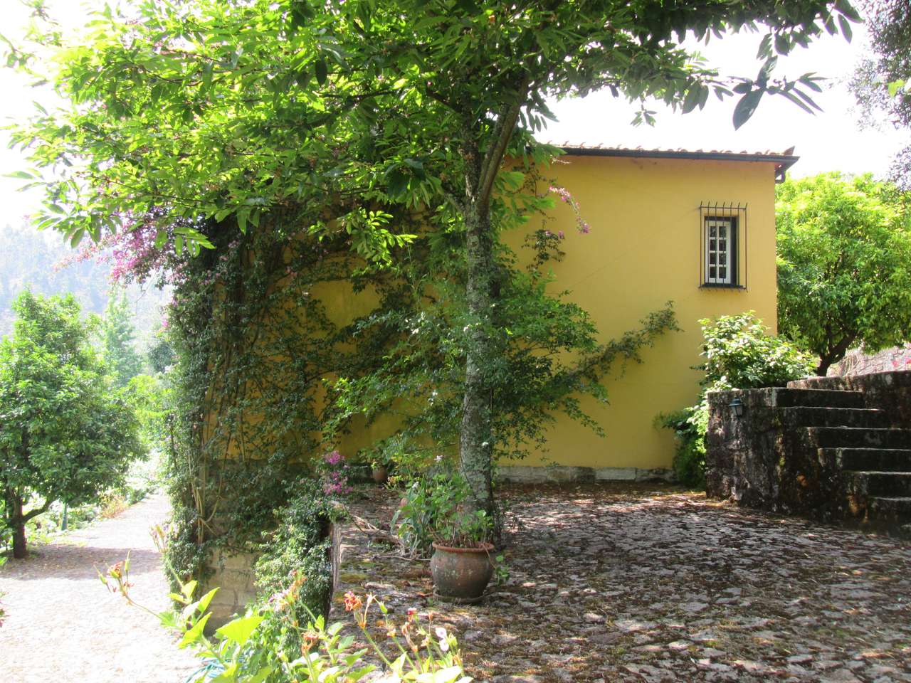 Quintinha no Minho Ponte de Lima * 10.000 m2 * a 90 Km do Porto-3