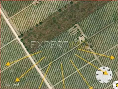 Terreno Rústico Palmela - Grande imagem: 3/13