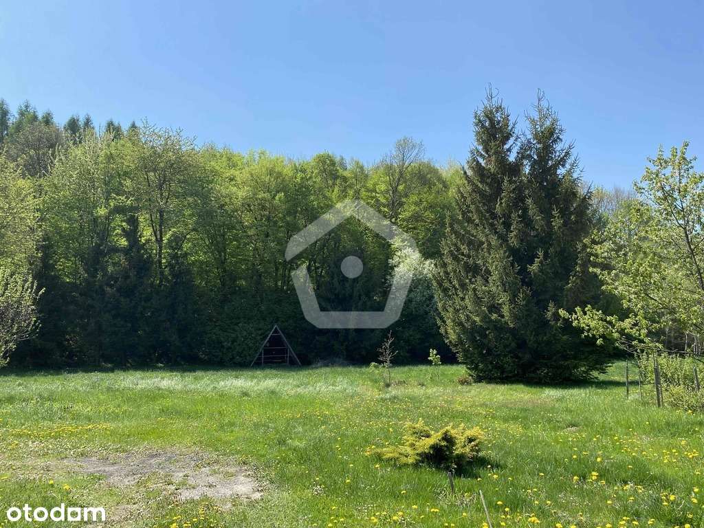 Dom wolnostojący na dużej działce - Błażowa Górna-18